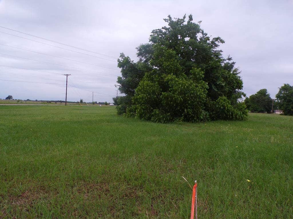 LT 397 Snyder Ranch Road - Photo 1