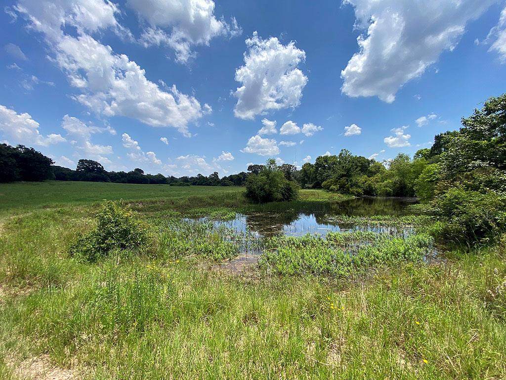 TBD Patterson Rd - Photo 1