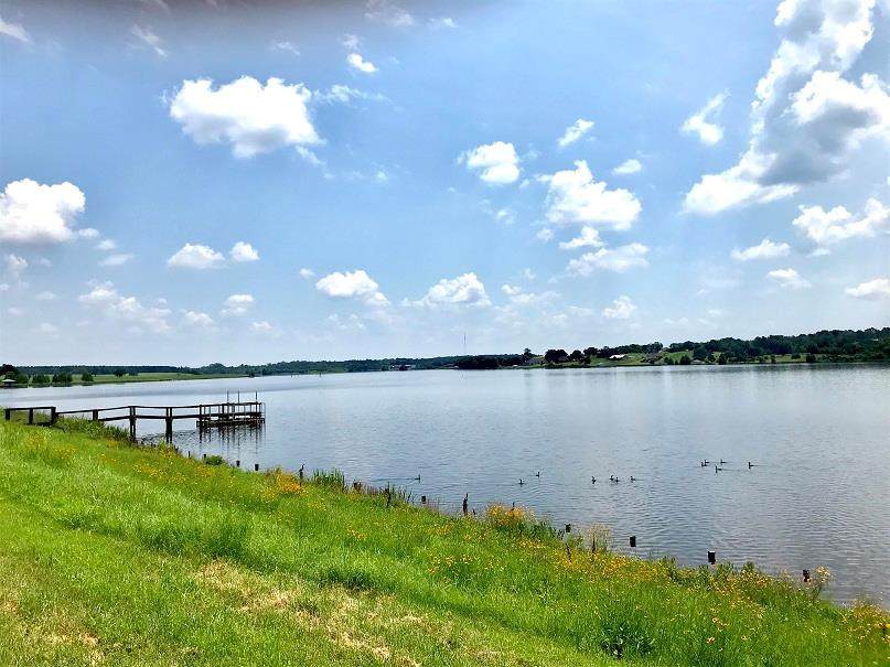 Lot 205 Lago Vista - Photo 1