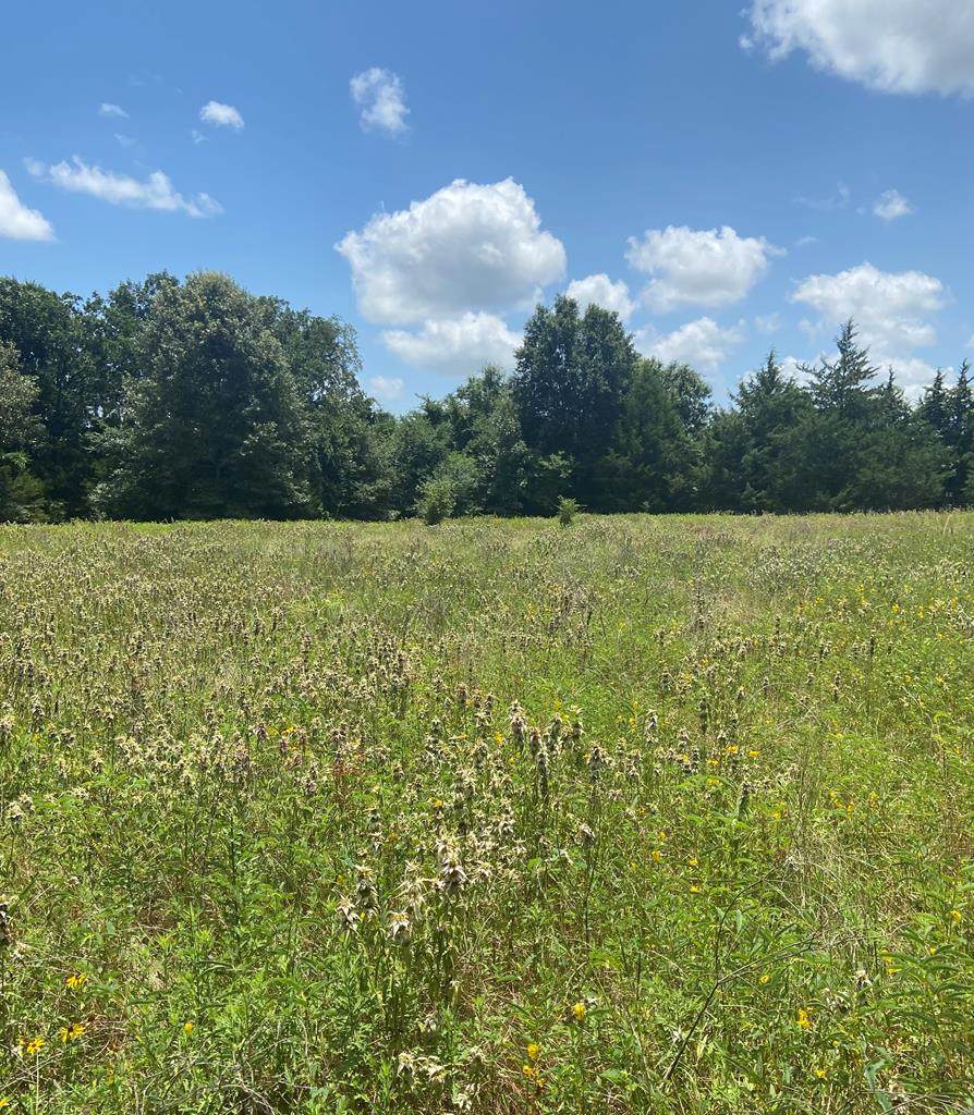 4810 Fm 2330 - Photo 1