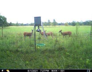 10802 Cr 3819 - Photo 1