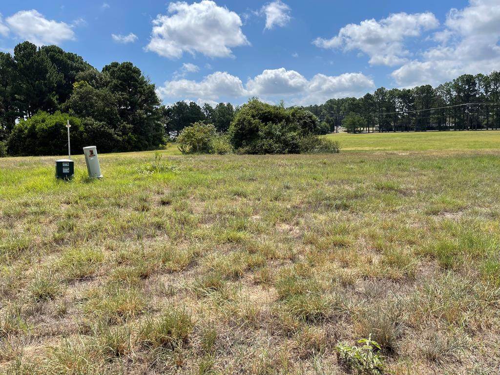 LOT 3 -R Palomino Court - Photo 1
