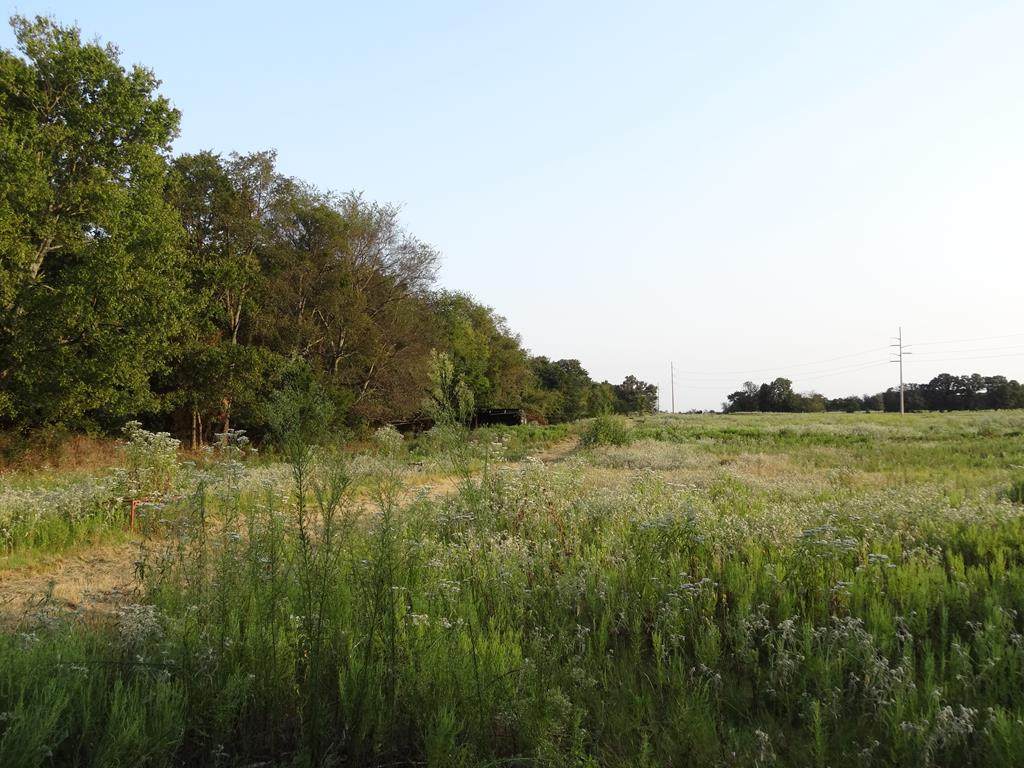 LOT 13 Cr 2501 - Photo 1