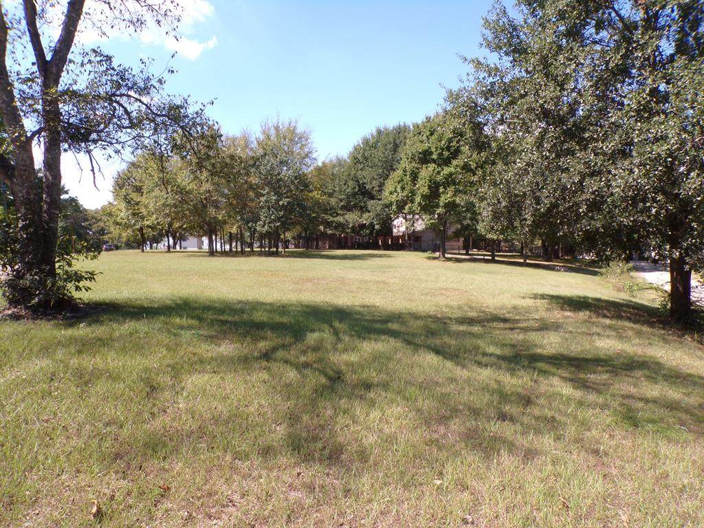 lot 28 Bandera Circle - Photo 1