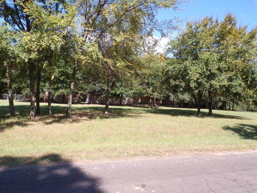LOT 29 Bandera Circle - Photo 1