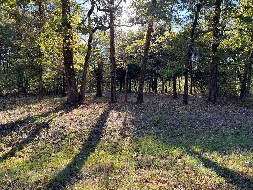 TBD Beachside Dr - Photo 1
