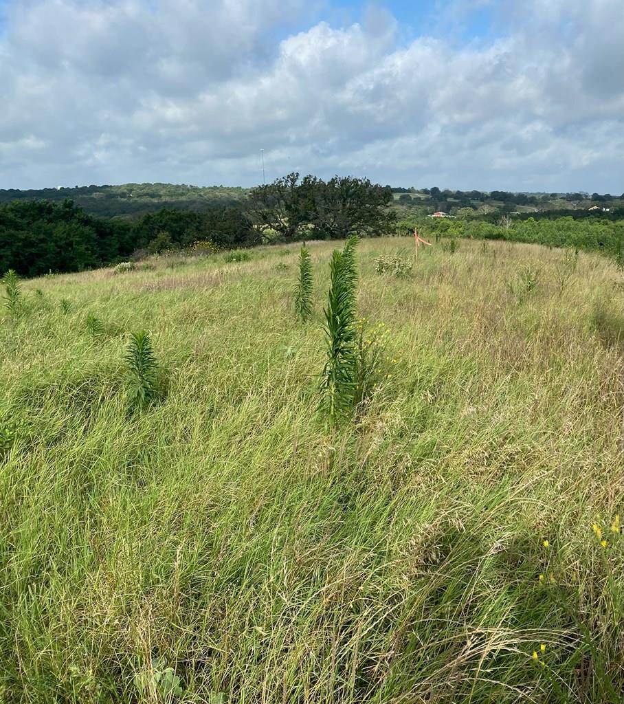 Lot 172 Lago Vista - Photo 1