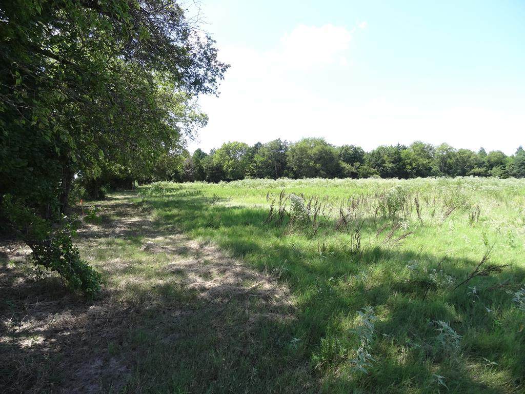 LOT 2 Cr 2501 - Photo 1
