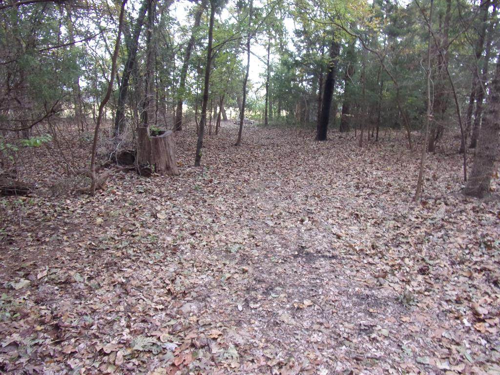tbd Holly Glen - Photo 1