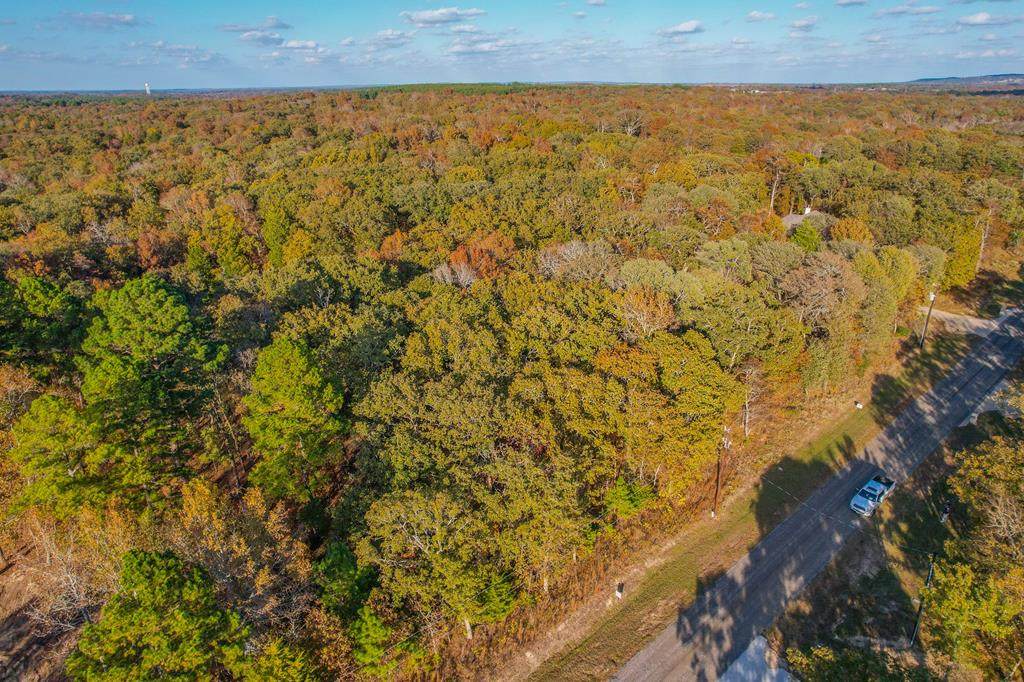 8856 884 Timberidge Drive - Photo 1