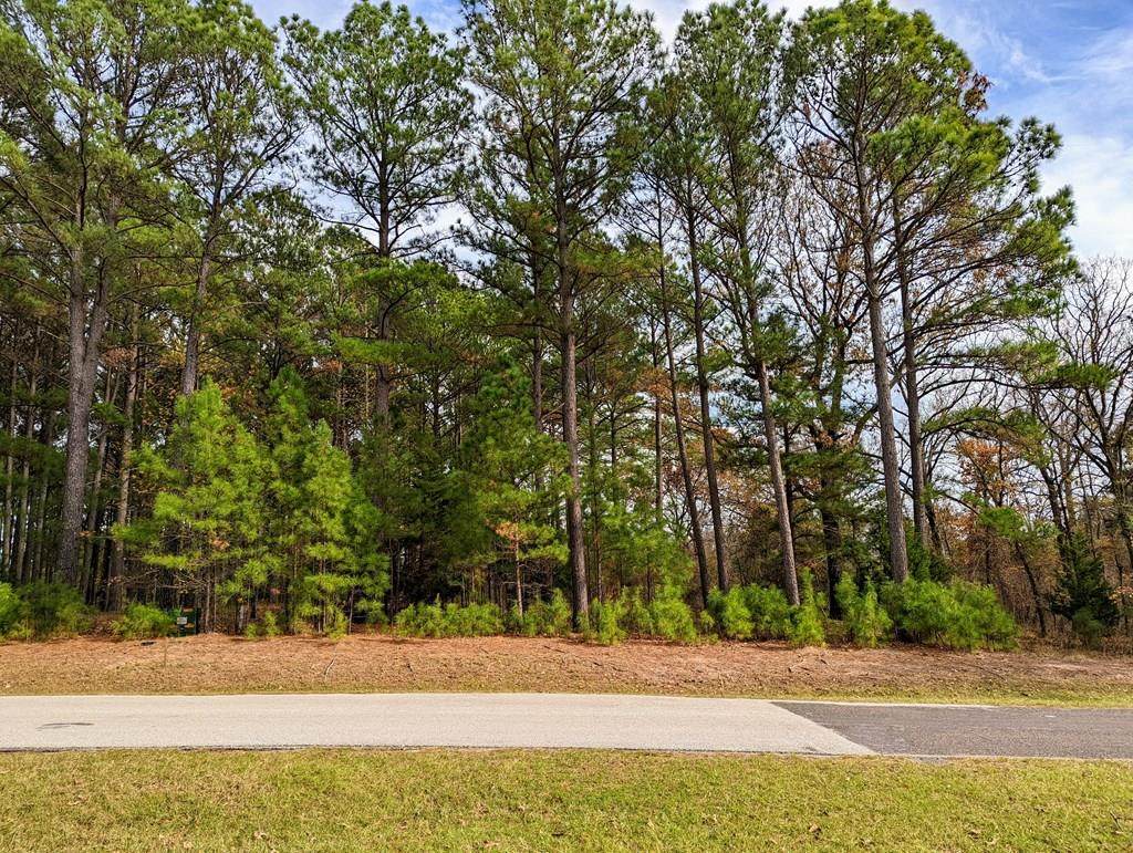 6842 Waters Edge - Photo 1