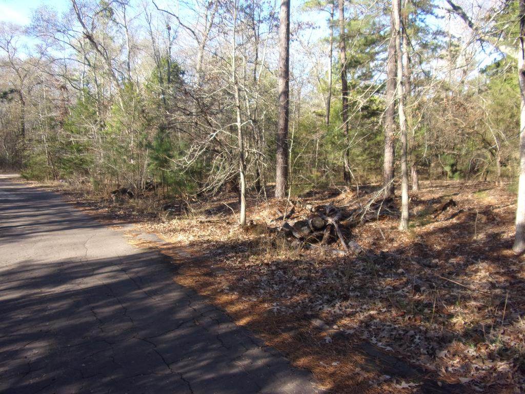 604 Dogwood Drive - Photo 1