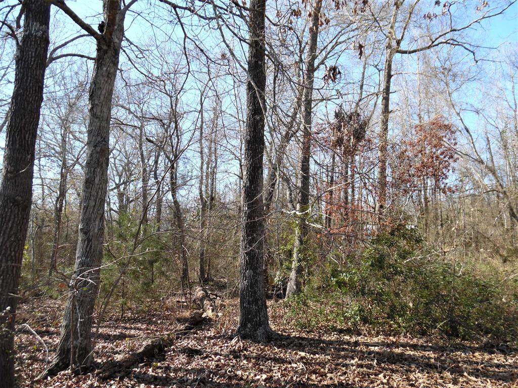 L10 TBD Holly Ln - Photo 1