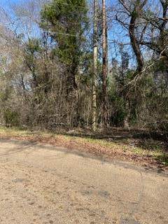 0 Woody Rd - Photo 1