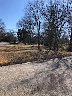 Lot 2R S Prairieville Street - Photo 1