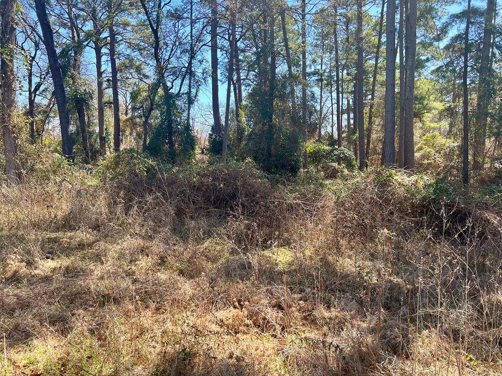 22671 Dogwood Trail - Photo 1