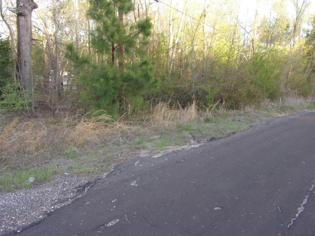 tbd Rosebud Ln - Photo 1