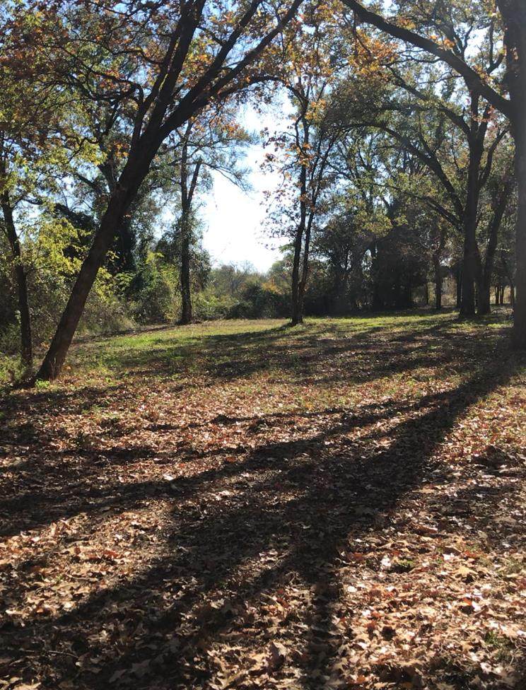 609 Oakwood Drive - Photo 1