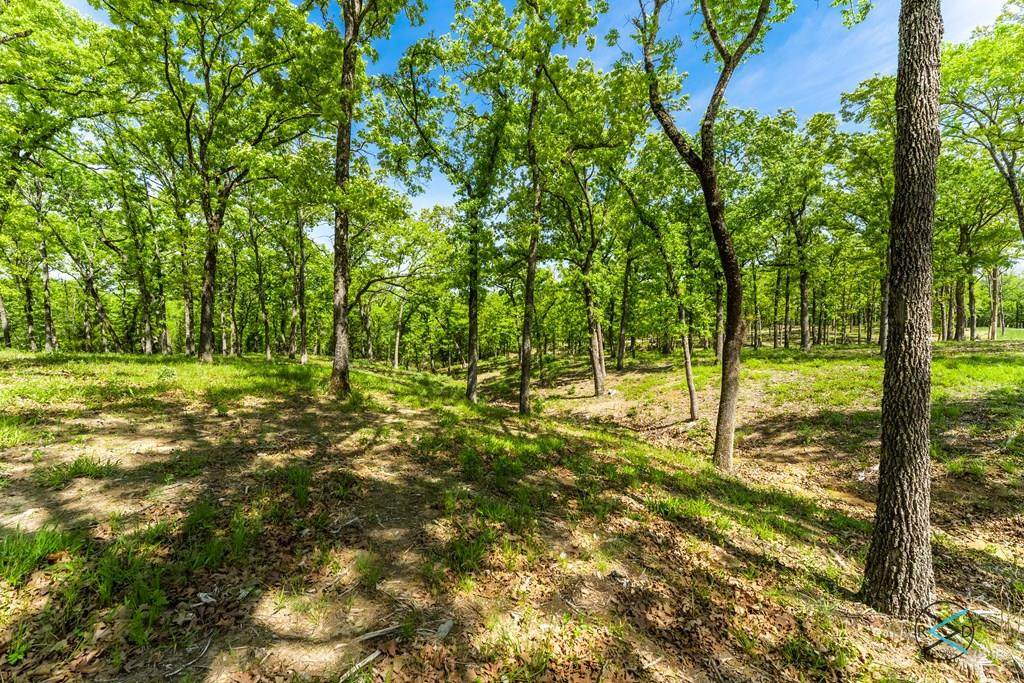 0 Ranch Oaks - Photo 1