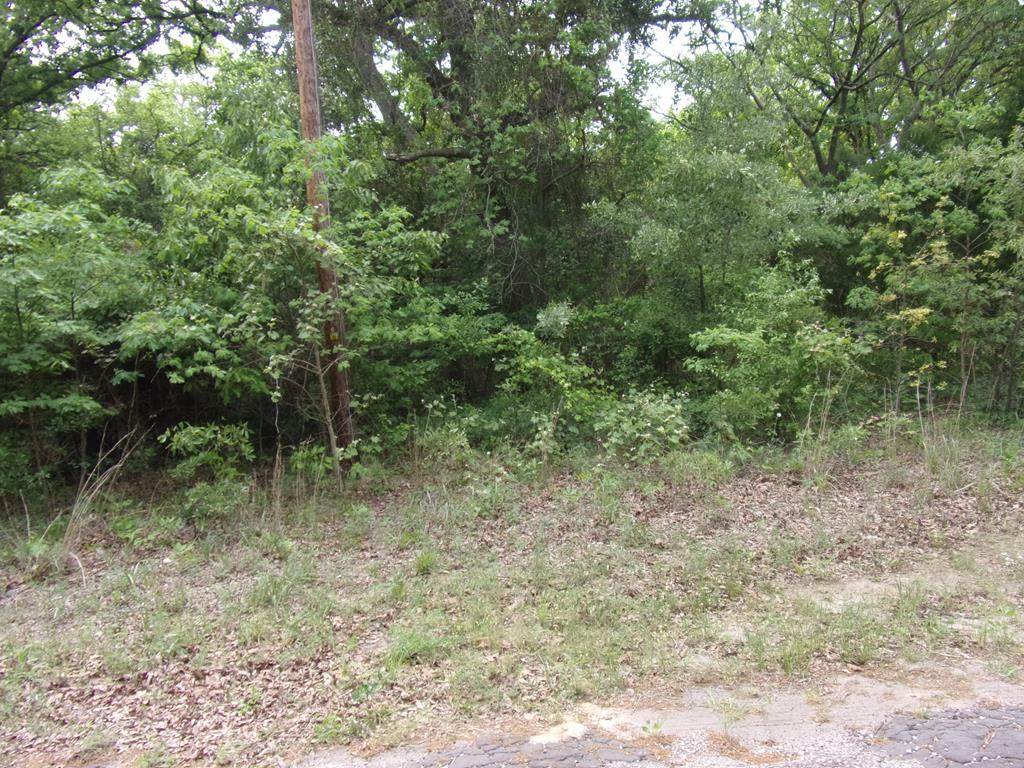 tbd Holly Glen - Photo 1