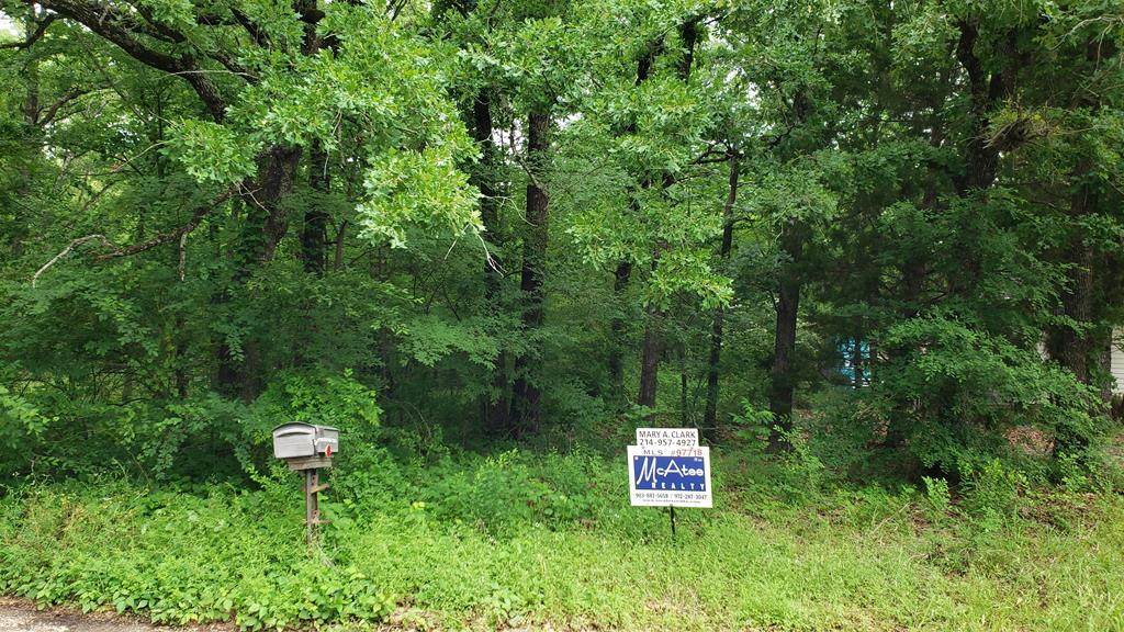 931 Woodland Trail - Photo 1