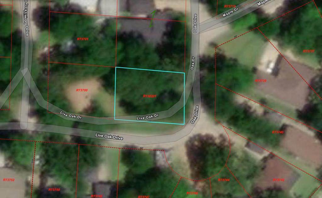 LOT 8 Oak Drive - Photo 1