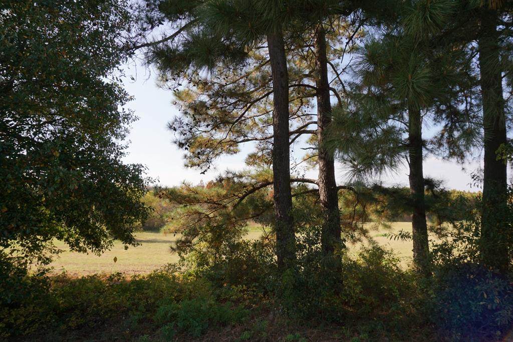 Lot 165 Lago Vista Dr - Photo 1