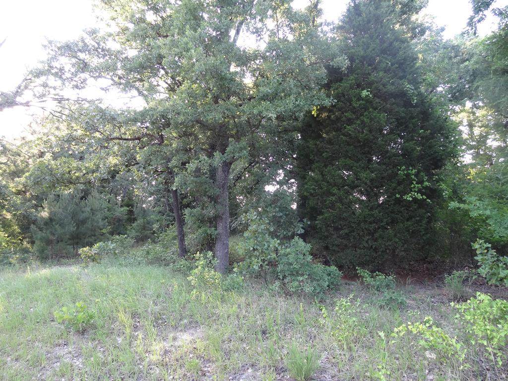 3 LOTS Doc Holiday - Photo 1