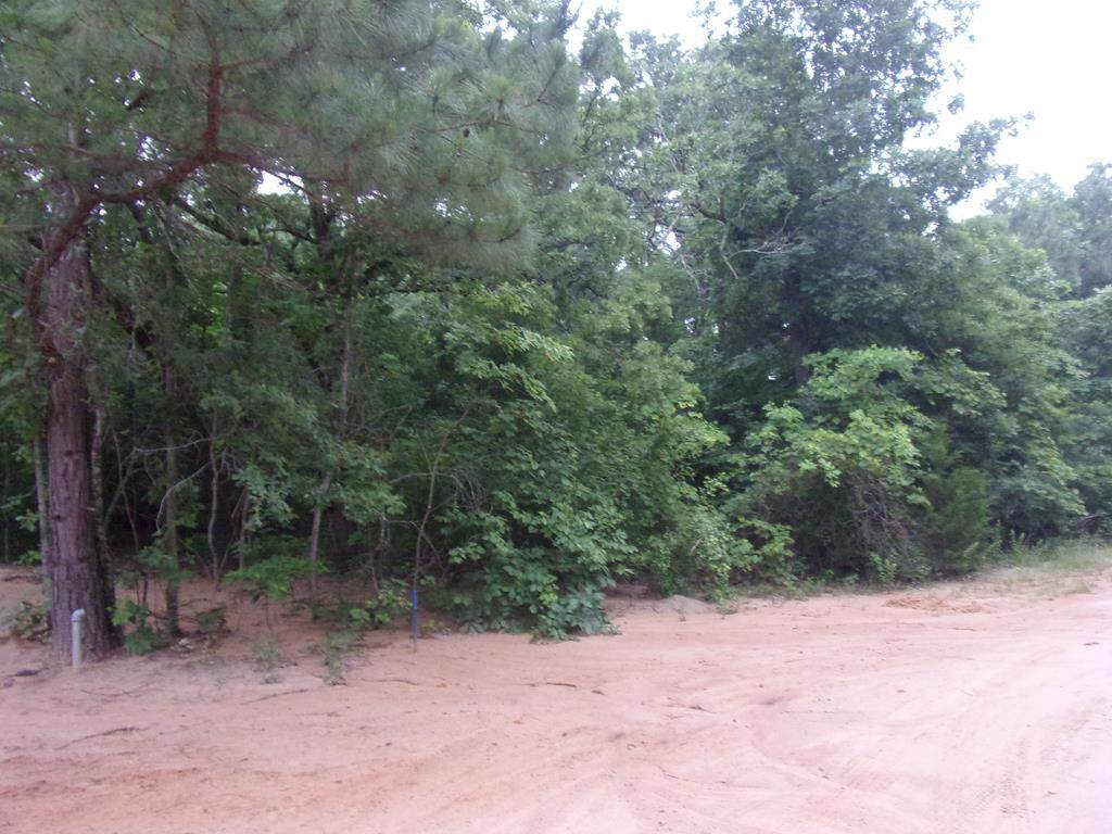 tbd Timber Grove - Photo 1