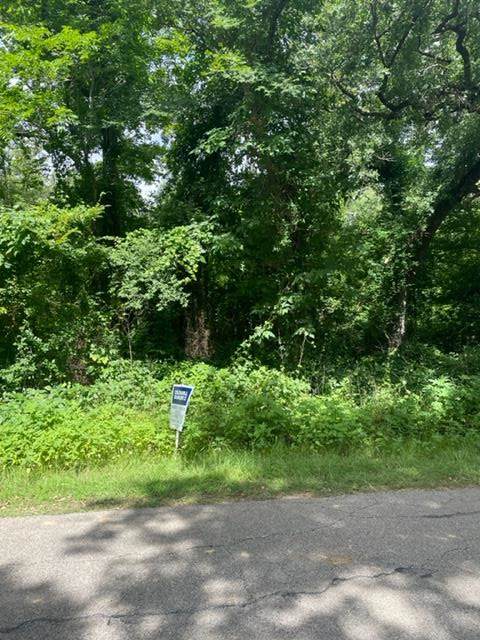 TBD Lakeview Dr - Photo 1