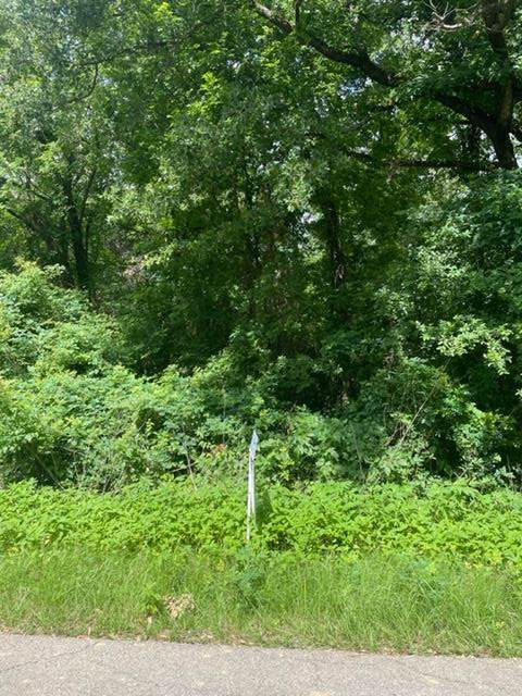 TBD Lakeview Dr - Photo 1