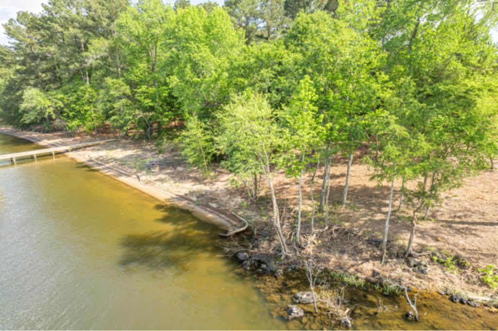 11739 Thousand Pines Circle - Photo 1