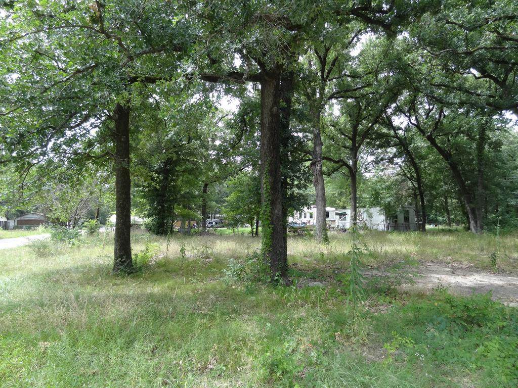 6104 Shawnee Drive - Photo 1