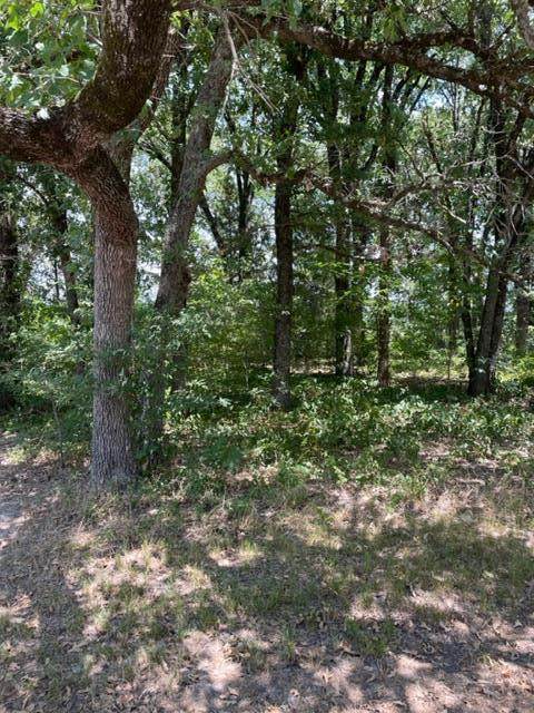 TBD Meadow Lake - Photo 1
