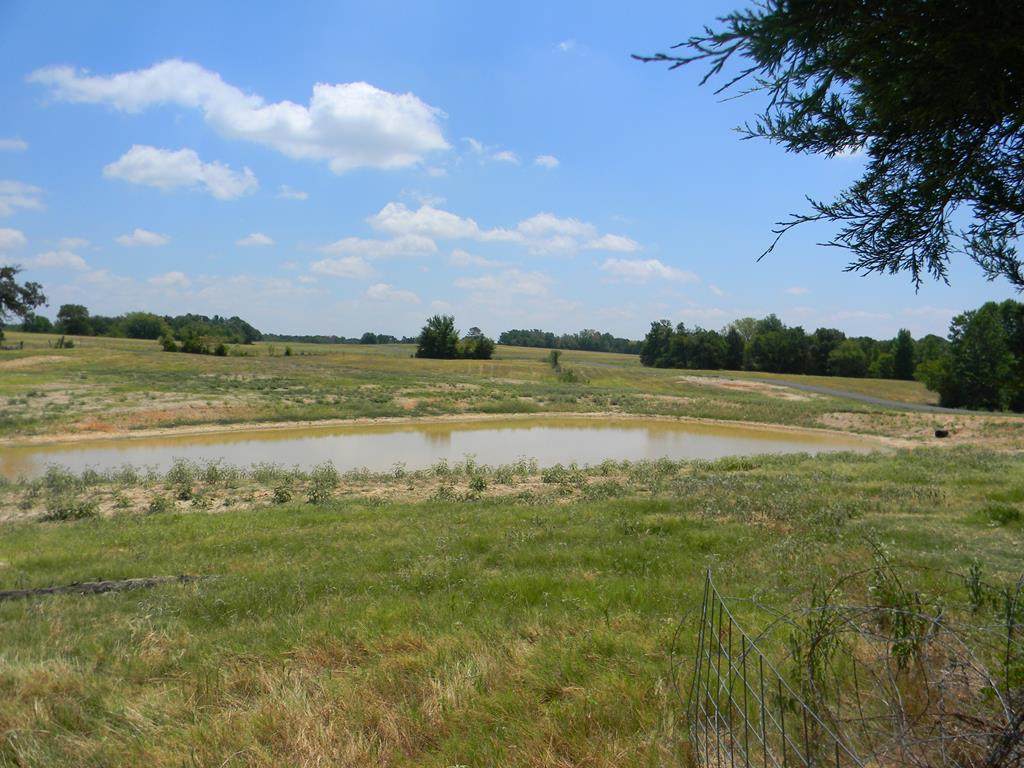 19 Belles Ln - Photo 1