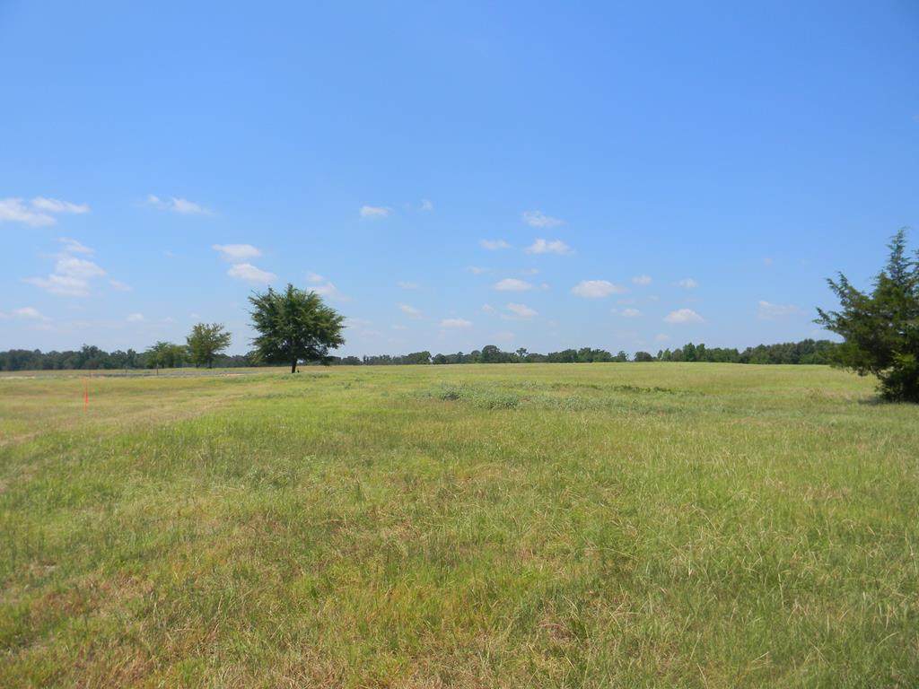 20 Belles Ln - Photo 1