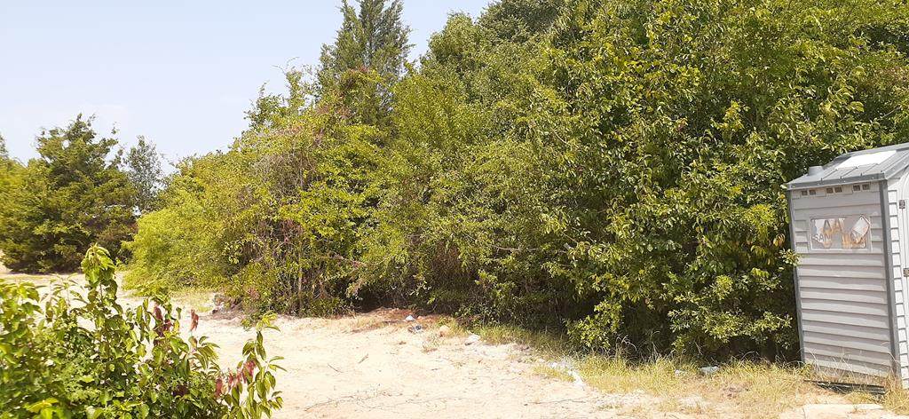 309 Bounding Main - Photo 1