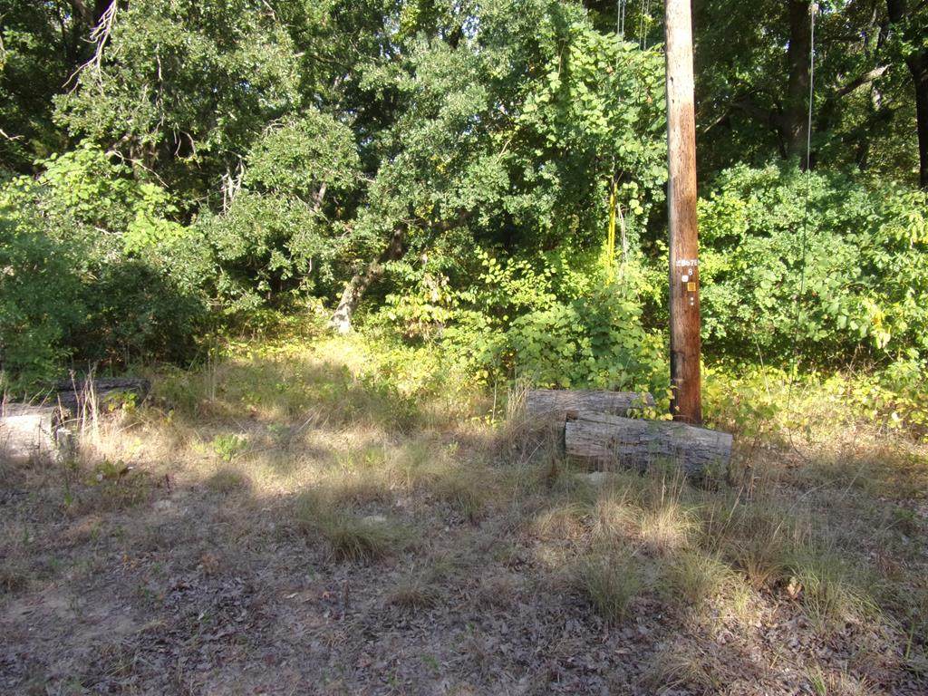 454 Holly Glen - Photo 1