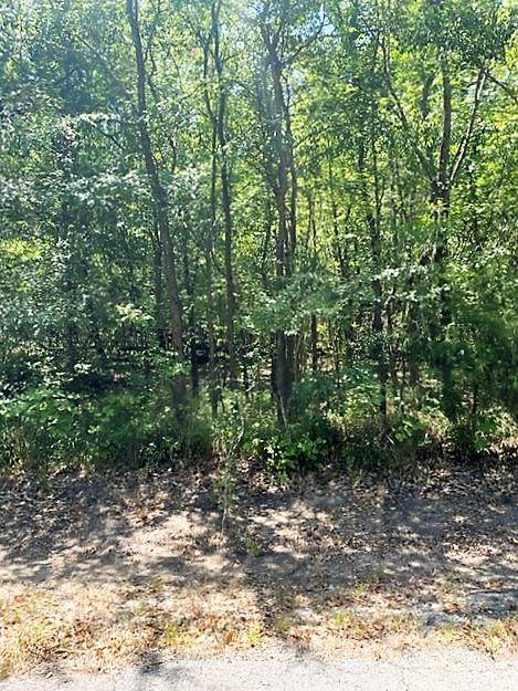 TBD Quail Run Rd - Photo 1