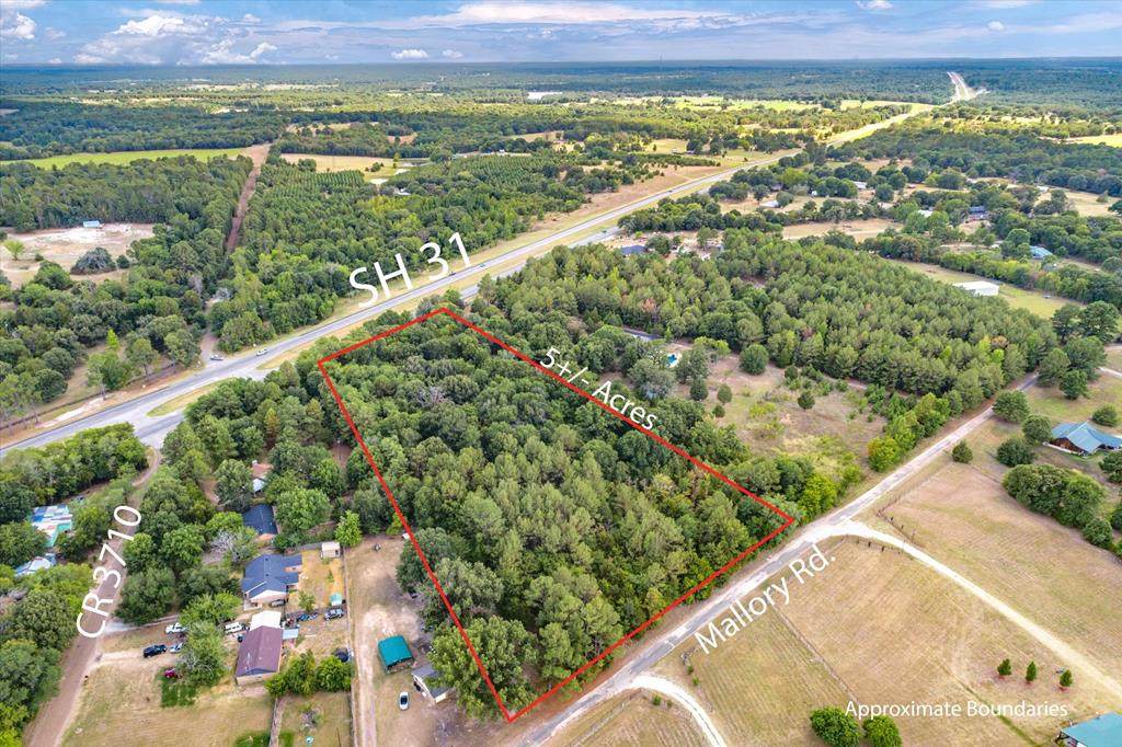 0 Hwy 31 E - Photo 1