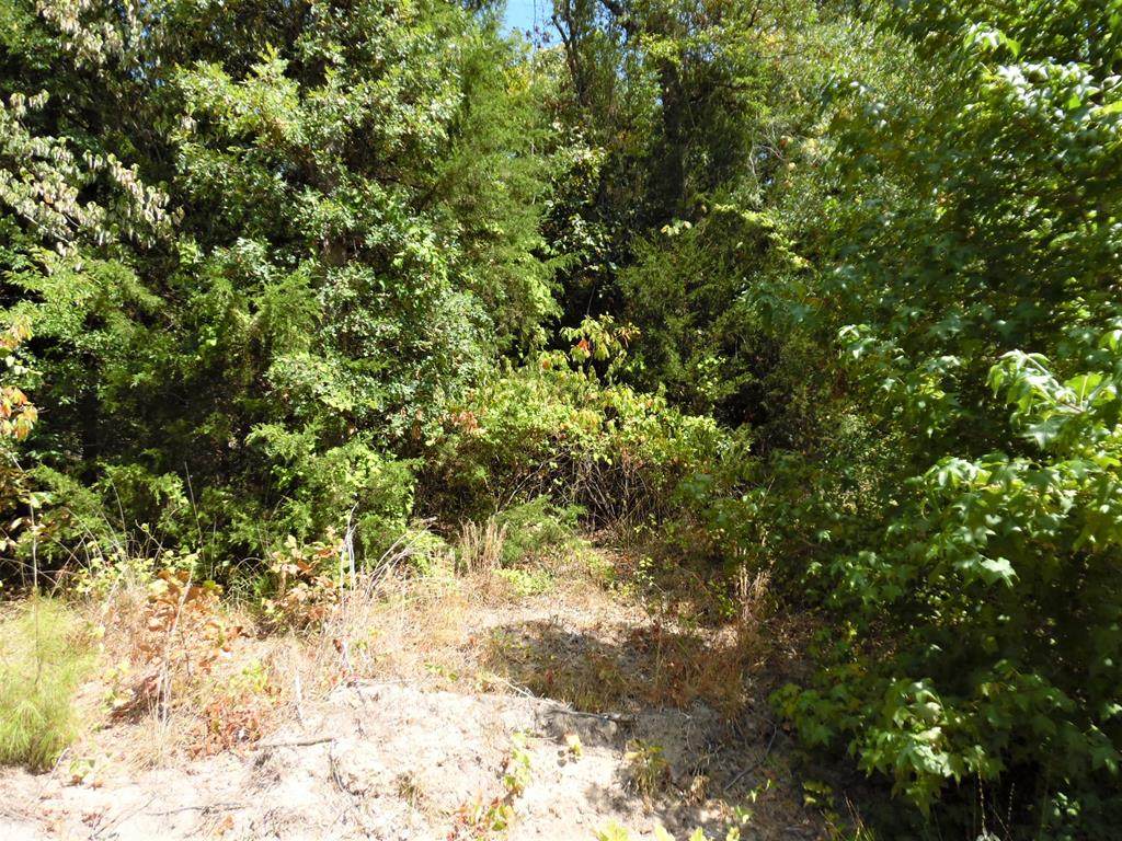 TBD (L8) Wildwood - Photo 1