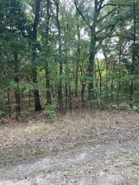 TBD Driftwood Dr - Photo 1