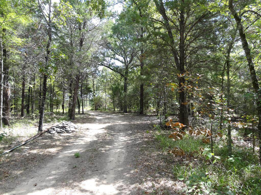 8667 Fm 3054 - Photo 1