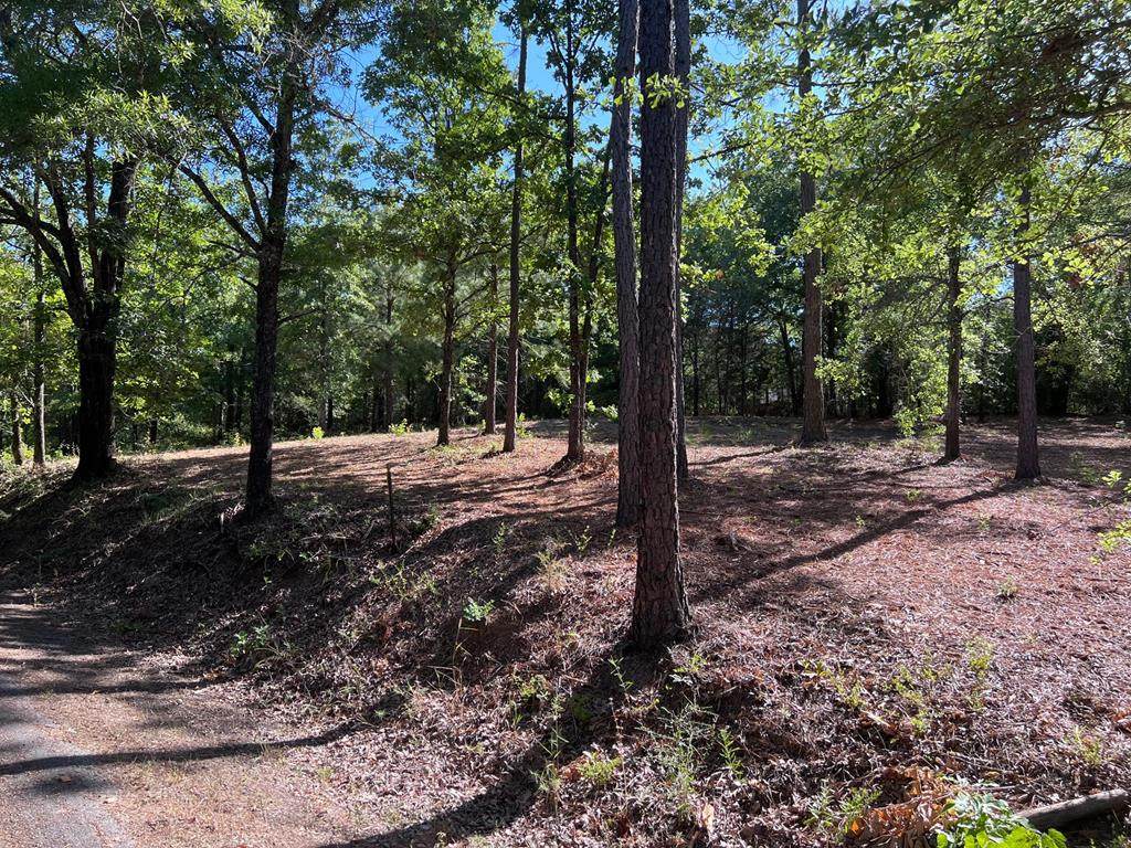 163 Vista Dr - Photo 1