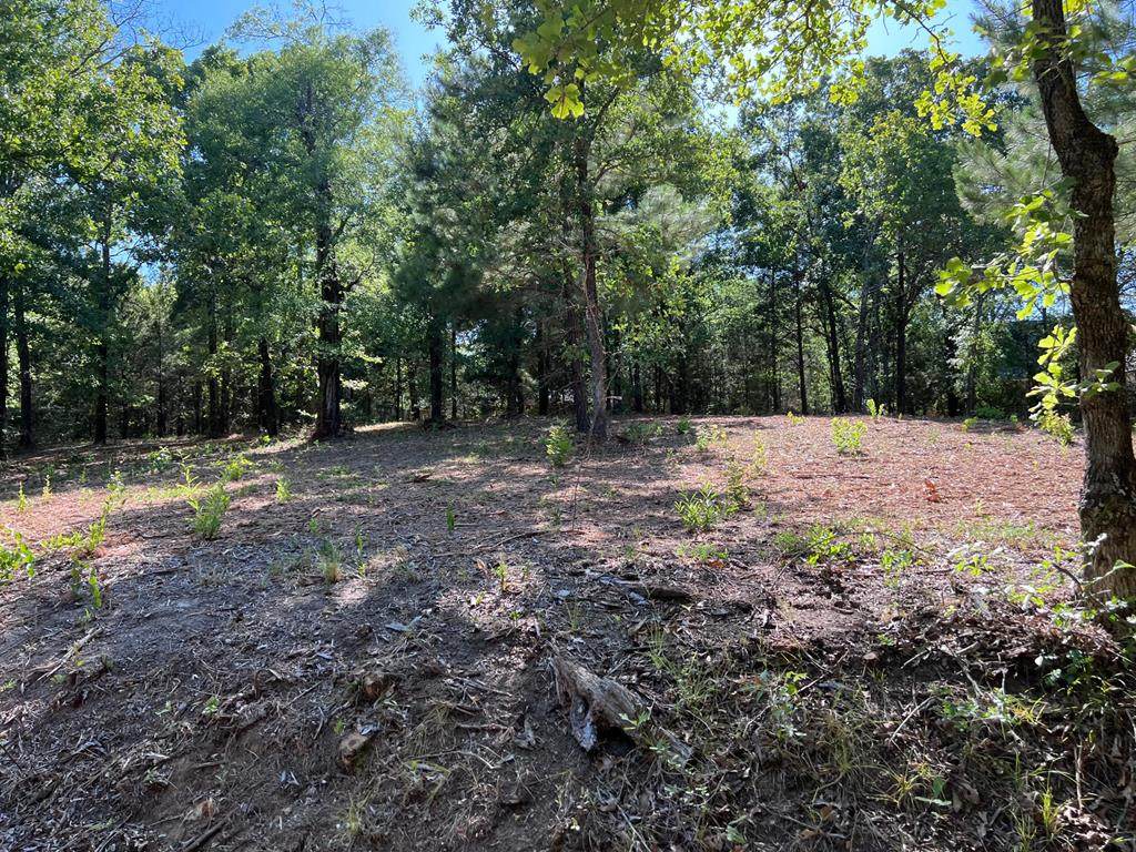 167 Vista Dr - Photo 1