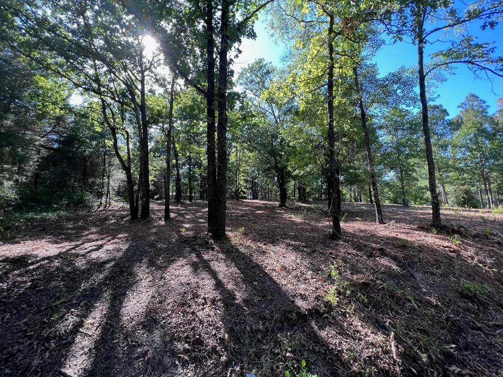 165 Vista Dr - Photo 1