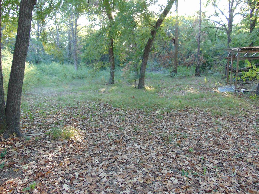 208 Old Indian Trl - Photo 1