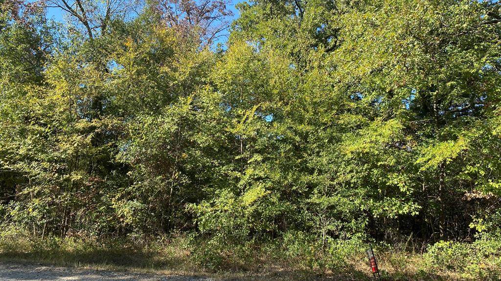 Lot 24 Westwood Dr - Photo 1