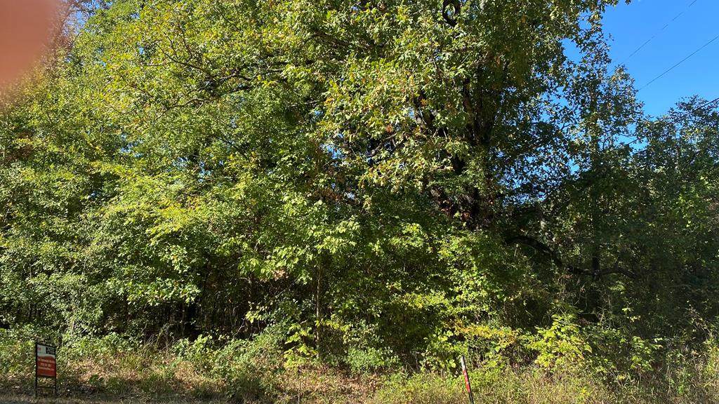 Lot 25 Westwood Dr - Photo 1