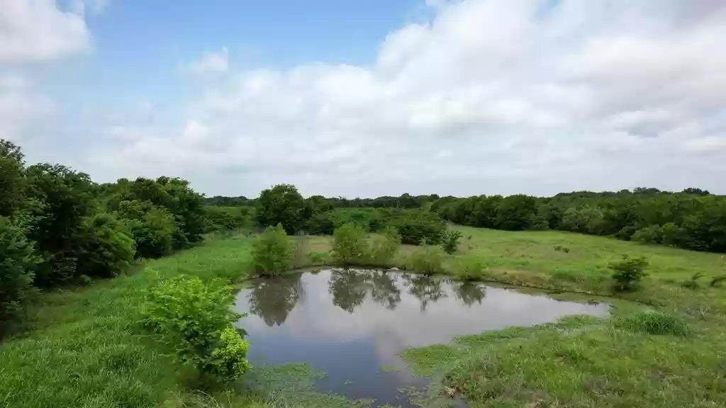 TBD Tolosa Rd - Photo 1